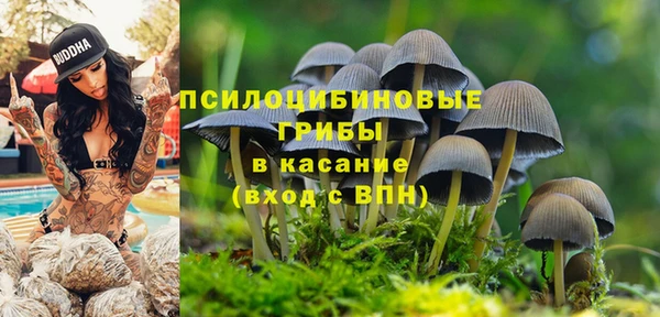 mdpv Алексеевка