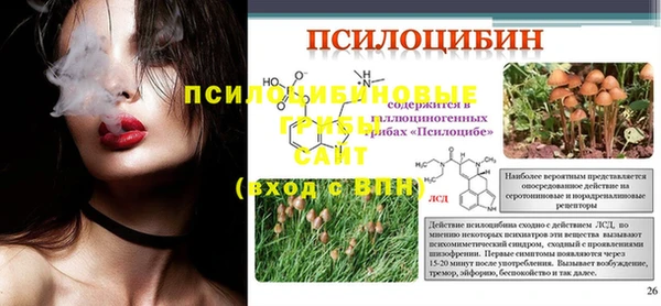 амф Алзамай